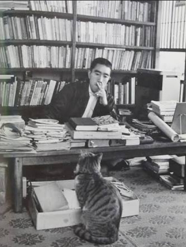 『強制執行と債務名義の話し』(その1)