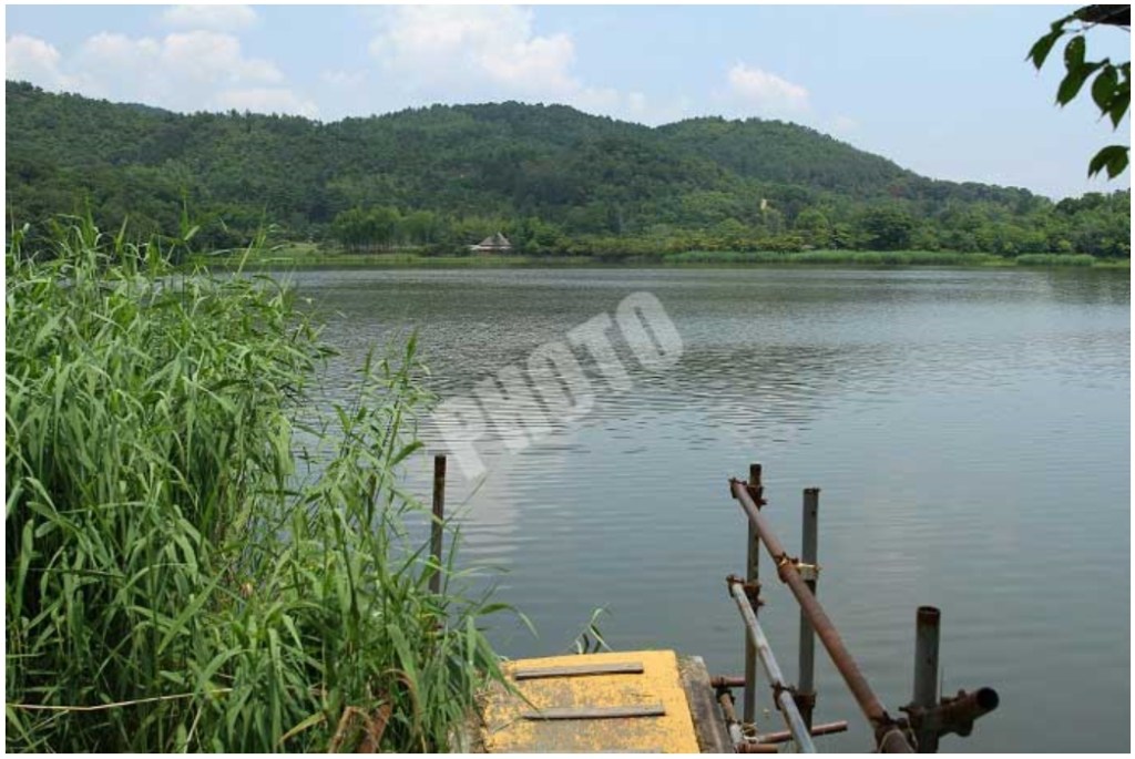 「うつすとも水は思はず、うつるとも月は思はず、広沢の池。」