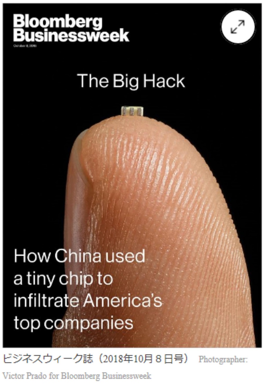 マイクロチップの仕込みは、このように発見された