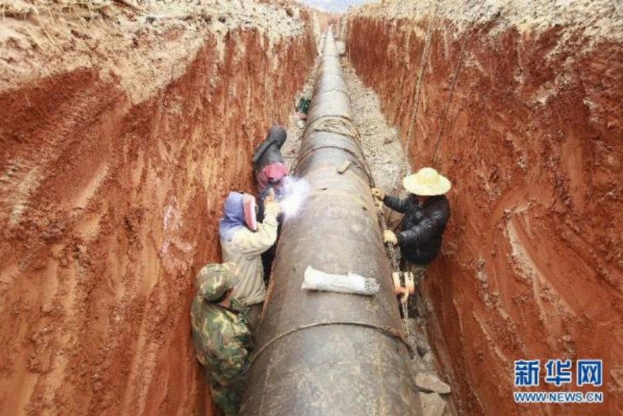 tyu_myanma_koji_umekomi_s